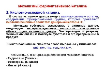 Роль фермента в катализе