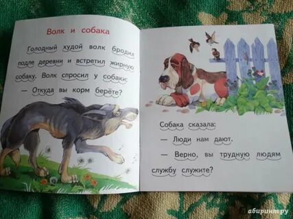 Собака волк рассказы