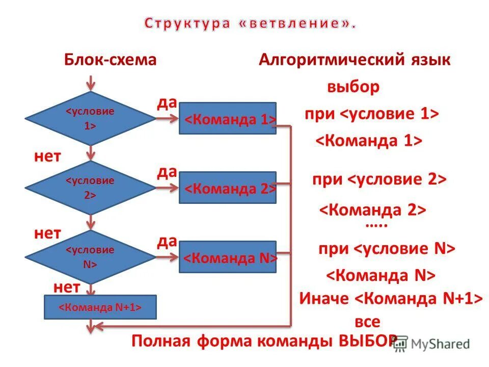 Выбор команды. Блоки которые выбирают команды. Схема линейного алгоритма. Команды цикла и ветвления. Блоки которые выбирают команды.