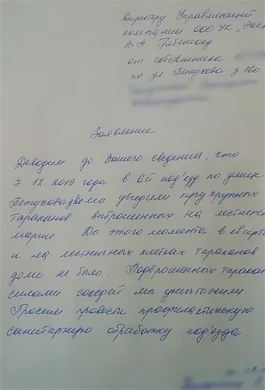 Заявление кск. Жалоба на тараканов в доме. Жалоба в УК на тараканов. Жалоба в управляющую компанию на тараканов. Образец заявления тараканы.