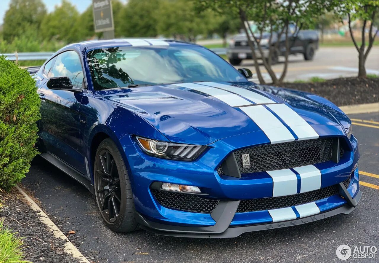 Мустанг шелби цена. Ford Mustang Shelby gt350. Форд Мустанг Шелби 2015. Ford Mustang gt 550 Shelby. Форд Шелби gt 350.