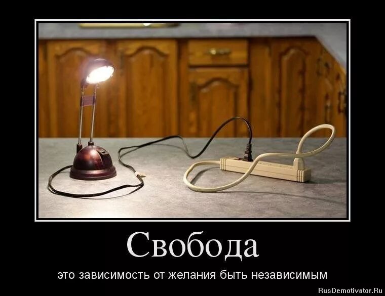 Независимая женщина с кошками. Сильная и независимая женщина цитаты. Я сильная и независимая женщина. Надпись суда. Независимая женщина цитаты.