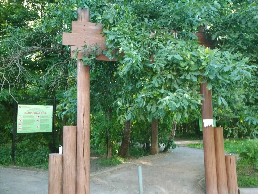 птицы химкинского лесопарка. баня кампонированя метал дерева. игра со срубанием дерева 20000 раз. дерево химки. оброшинский лесной парк.