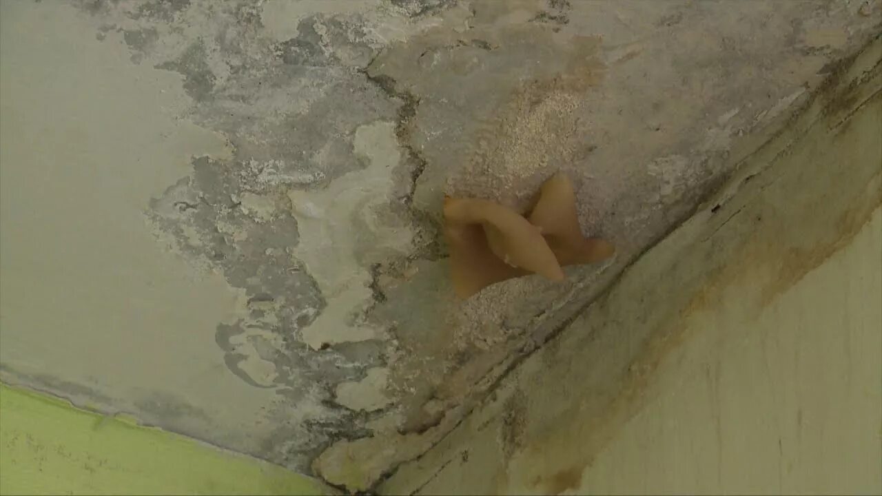 Средства плесени на потолке. Грибок на потолке. плесень на натяжном потолке. грибок на потолке в квартире. плесень на стенах.