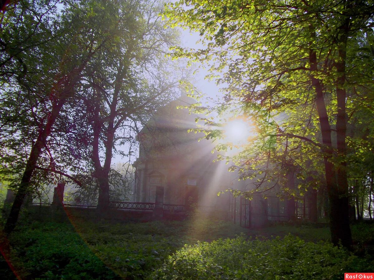 колокола колокольный звон. колокольный звон набат. деревенская церковь есенинская русь. утро звон. колокольный звон на звоннице.