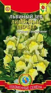 Львиный зев заморозки