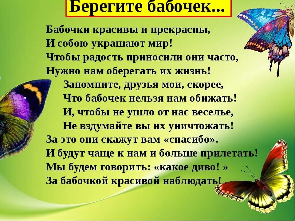 Почему полет бабочки бесшумен. Красивое описание бабочки. интересное про бабочек для детей. проект про бабочек. рассказ о бабочке.