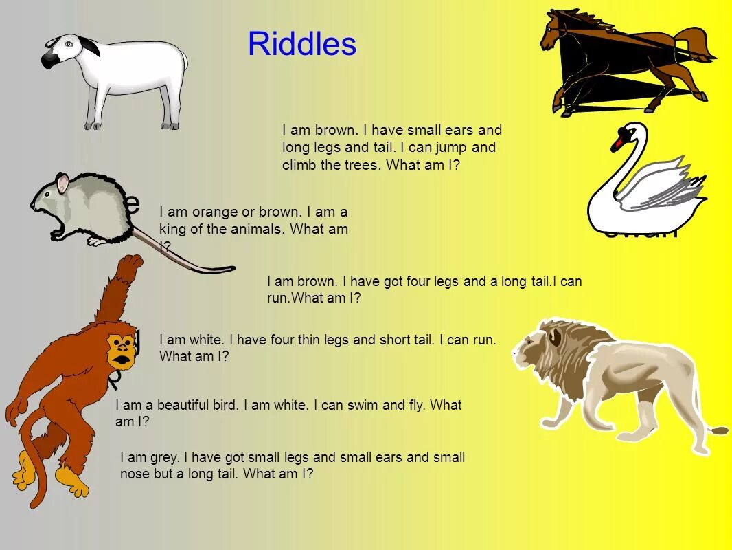 Рассказ про животных на английском языке. Загадка. Загадки по английскому языку. Английские загадки с ответами. Загадки про животных по английскому.