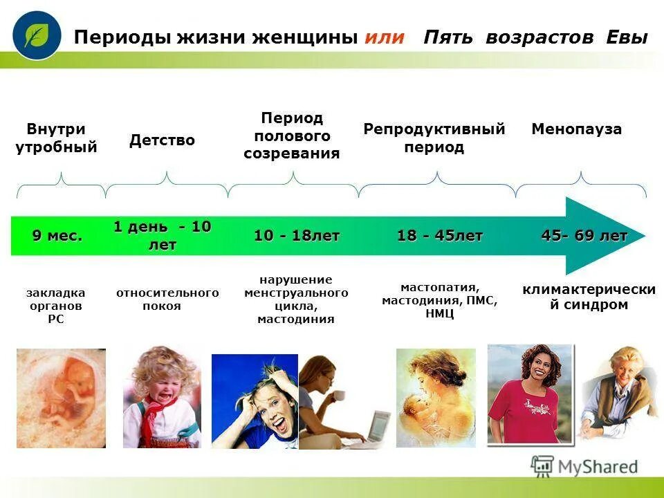 Таблица менопаузы. Переводы жизни женщины. Периоды жизни женщины. Физиологические периоды жизни женщины. Периоды жизни жизни.