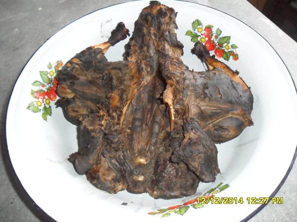 Как вымачивать мясо бобра. Как вымачивать мясо бобра