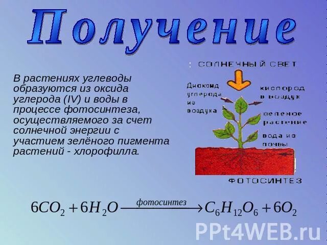 Углекислый газ вода углевод кислород. Получение углеводов. Получение углеводов в химии. Углеводы в растениях. Способы получения углеводов.