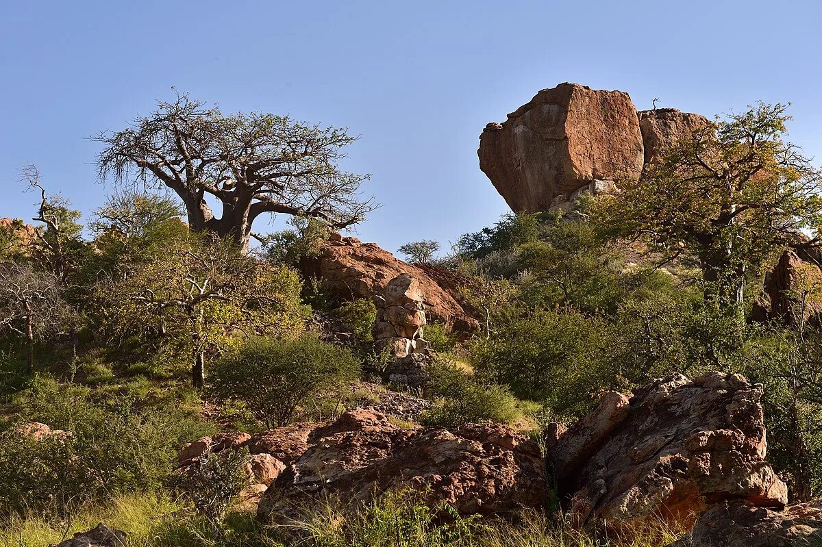 Мапунгубве. Мапунгубве холм. Mapungubwe National Park, Limpopo. Коллекция Мапунгубве. Africa 10