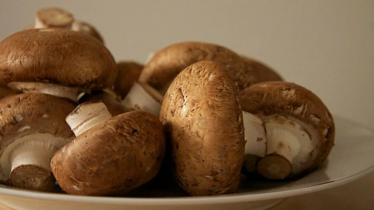Go mushrooming