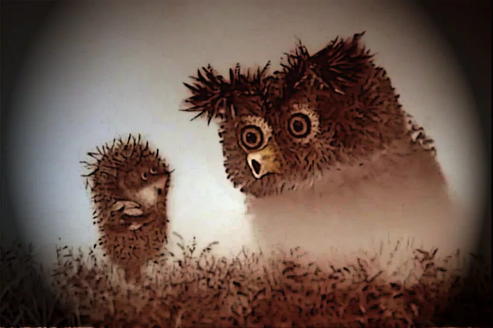 Сова из ежика в тумане. Ежик и сова. Сова ежик. Сова из ежика в тумане. Ежик в тумане сова.