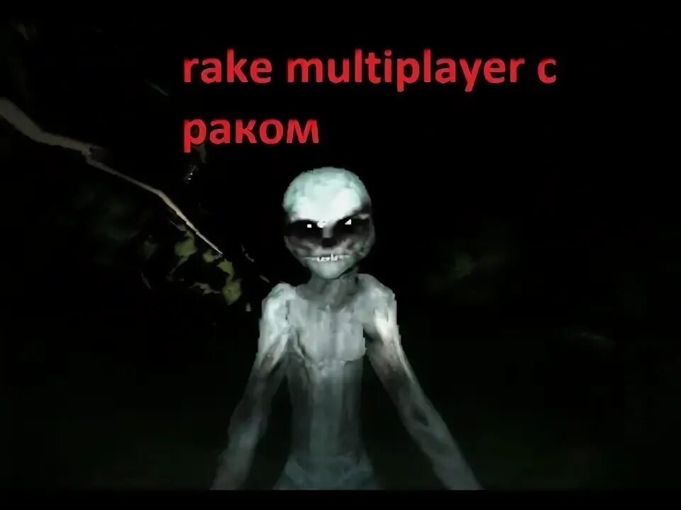Rake multiplayer