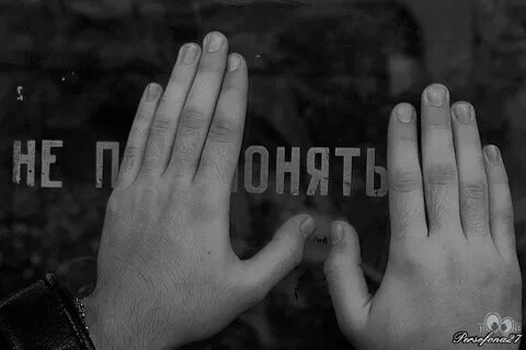 Вечно начинающие