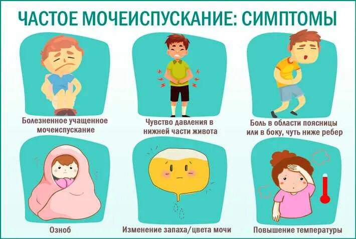 Частое мочеиспускание причины. Частое мочеиспускание у женщин причины. Частое болезненное мочеиспускание это. Частое мочеиспускание без боли