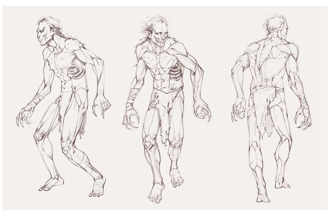 типы тела референс. рефы для моделирования. человек сзади в 3/4 референс. эскиз тела. мужское тело со всех ракурсов.