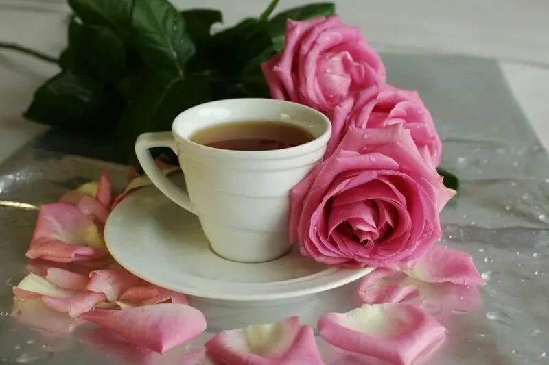 Доброе утро любимая розы. Утренние цветы. Кофе и цветы. С добрым утром картинки красивые.