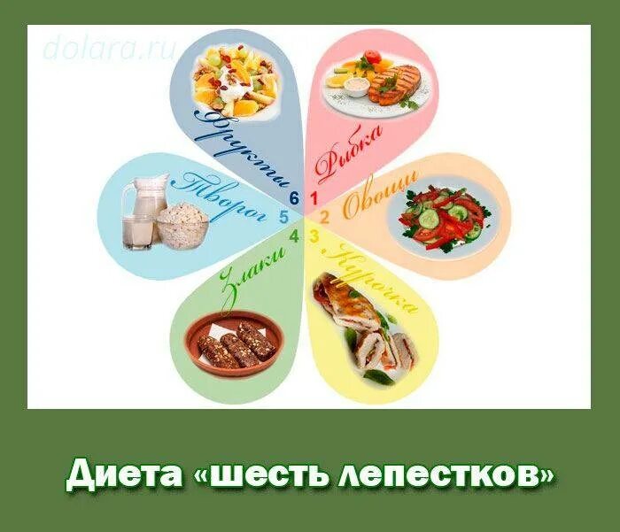 День семь лепестков по шагово. Диета лепесток 7 дней меню на каждый. Диета 7 лепестков меню. Диета 6 лепестков меню. Диета для похудения 6 лепестков меню на каждый.