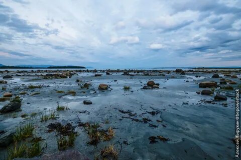 Белое море авито