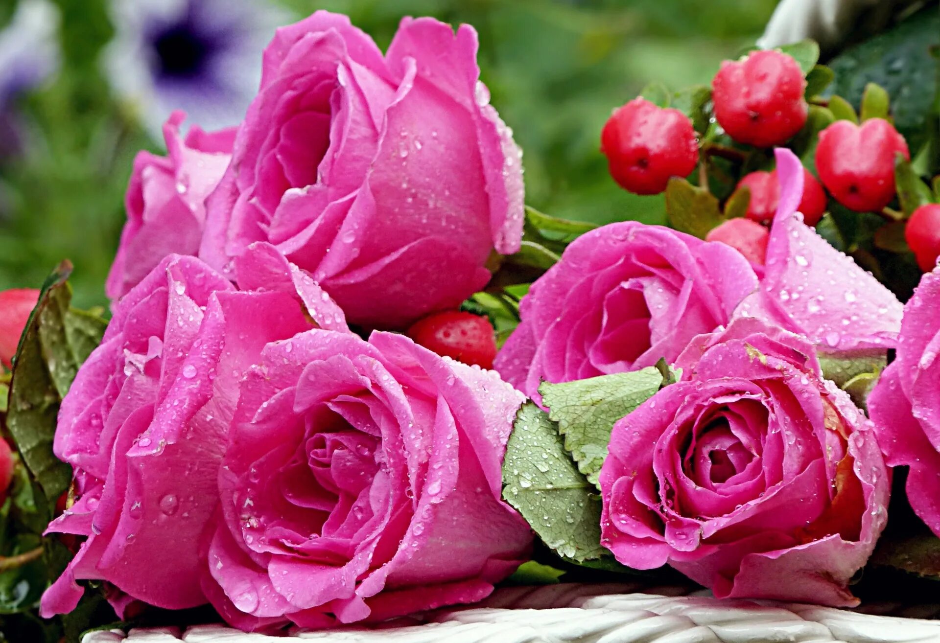 Розы красивое видео. Красивые розы. Чудесные цветы. Шикарные розовые розы. Красивый букет цветов для настроения.