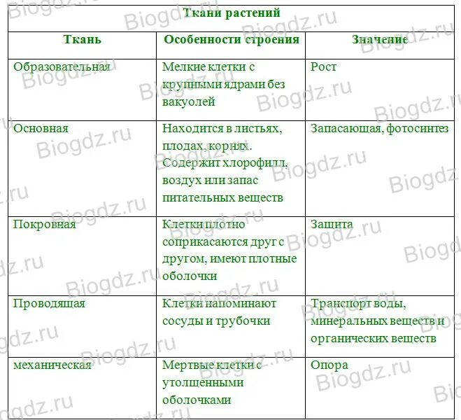 10 класс, биология Тема: Ткани животных