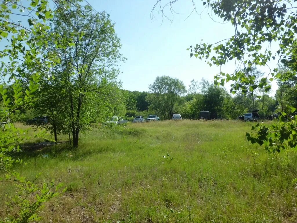 Алексеевка 1. Алексеевка 1. Первая алексеевка щелковский район фото. Алексеевка щелковский район лагерь. Алексеевка 1.