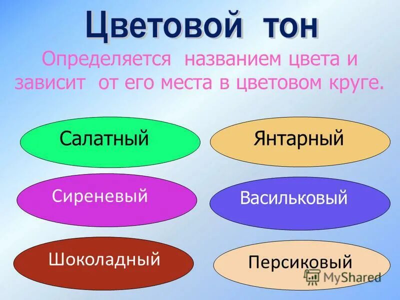 лошади анатомия маклок. маршрут экспедиции фернана магеллана. маршрут путешествия фернана магеллана. определи как называются места. географическая карта морей.