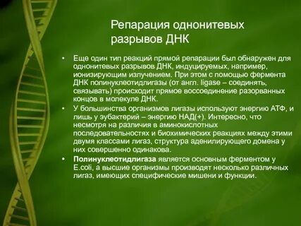 5 репарация