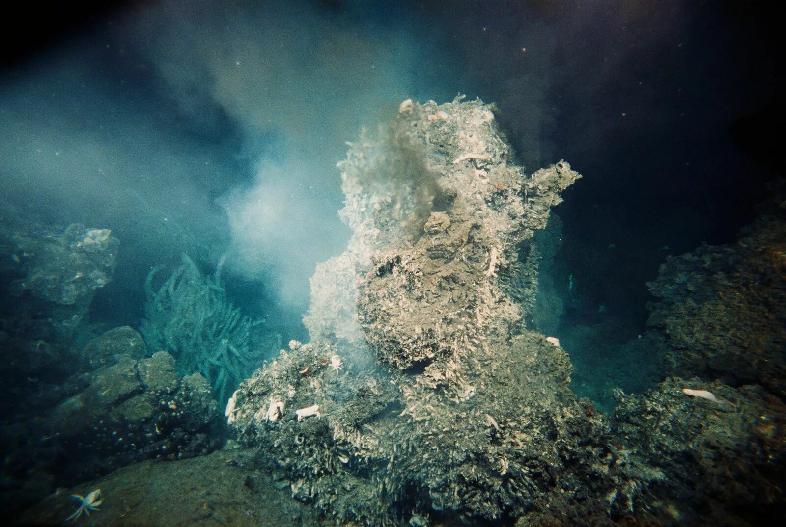 Черные курильщики океана. Саргассово море под водой. Гидротермальные источники. Подводные гидротермальные источники. ГИПОТЕРМАЛЬНЫЙ источник шампань.