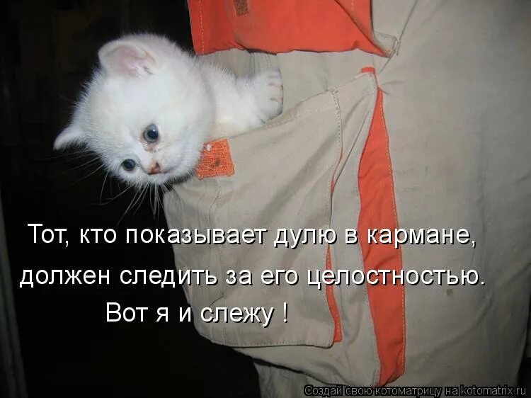 А я маленький такой. Шутки про телевидение. Смешные цитаты. А я маленький такой. Раньше я была маленькая и вредная.