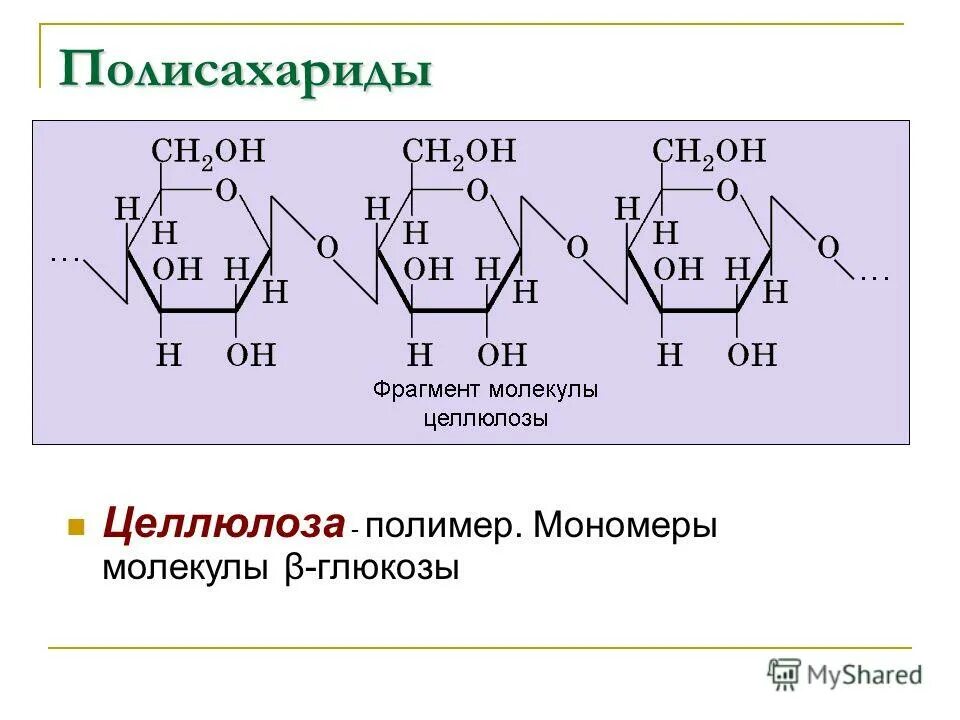 Соединение молекул мономера. Целлюлоза формула полимера. Полисахариды формула Целлюлоза. Строение полимера целлюлозы. Схема молекулы полисахарида.