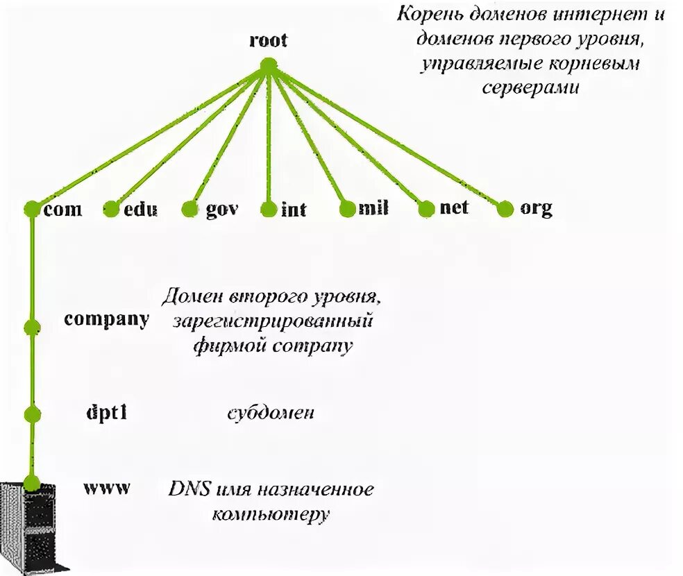 Домен Нижнего уровня. Домен уровни доменов. Домен верхнего и Нижнего уровня. Уровни доменных имен.