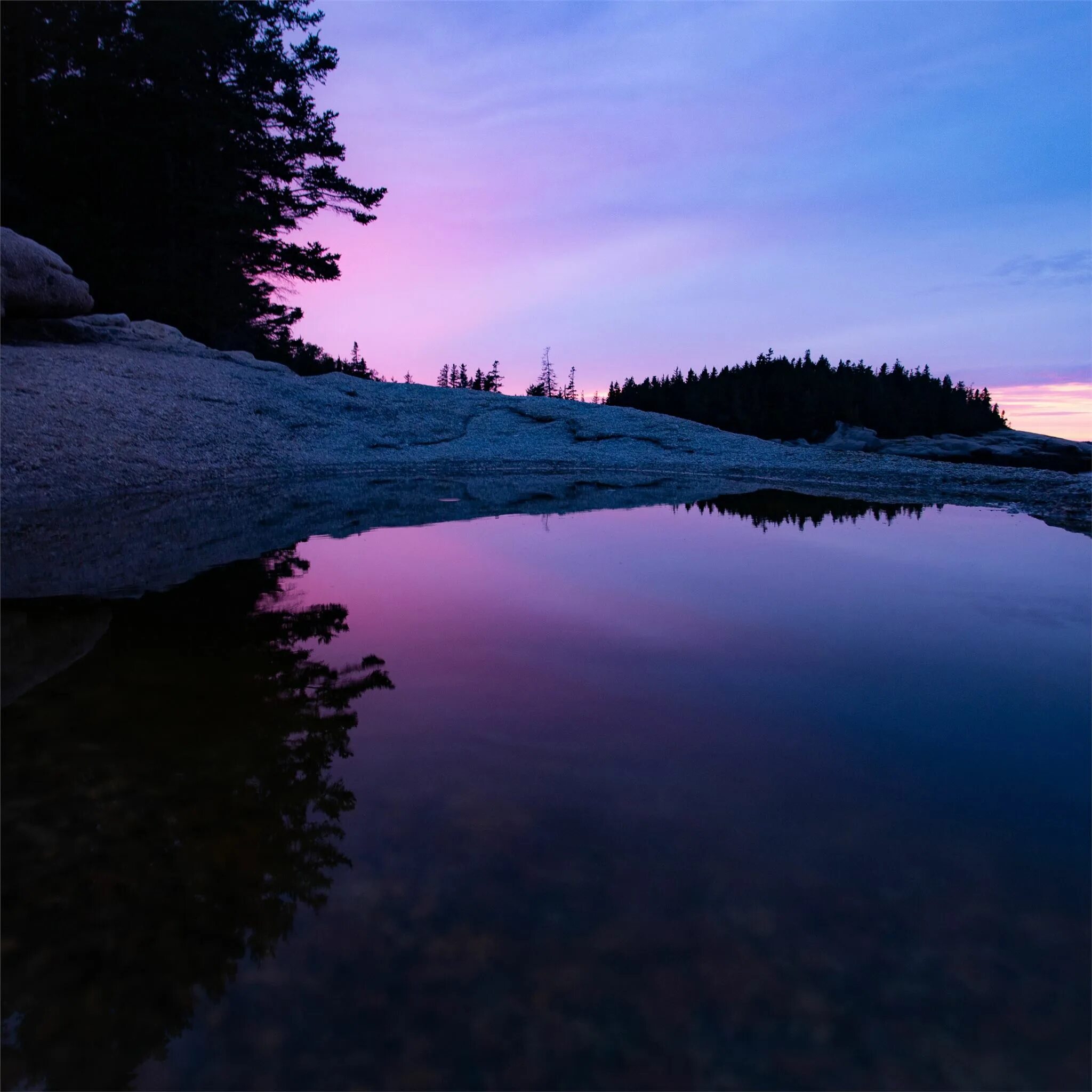 Природа лес озеро. Зеленый пейзаж. Природа. Маленькое озеро. Красивую успокаивающую.