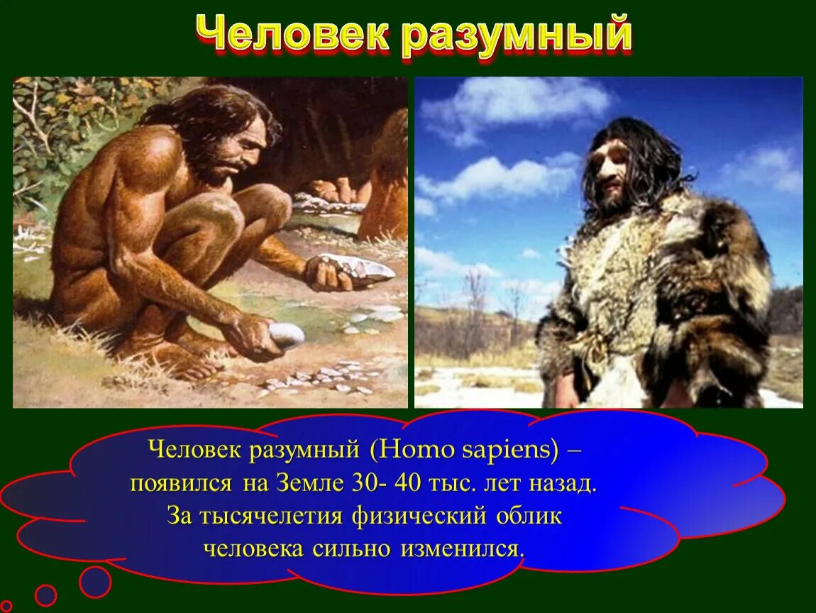 Сколько лет назад возникла. Человек разумный homo sapiens. Появление человека разумного. Человек разумный появился. Возникновение человека разумного.