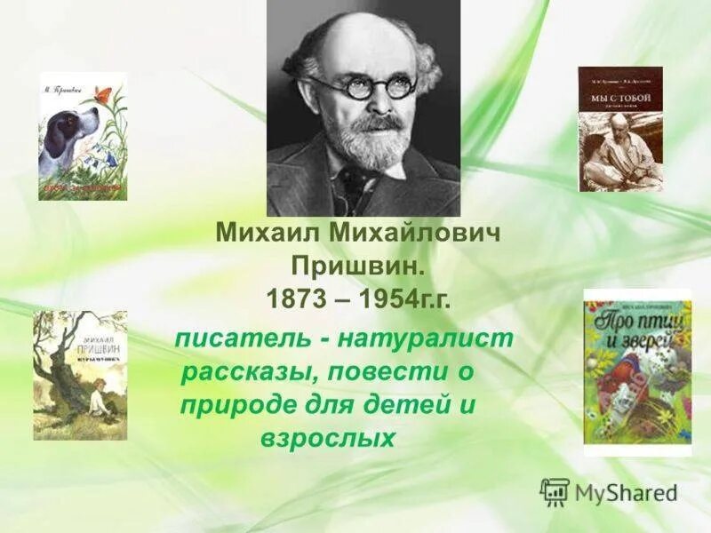 Рассказы писателей о детстве. Михаила Михайловича Пришвина (1873–1954). Писатель натуралист пришвин. К 150-летию Михаила Михайловича Пришвина.