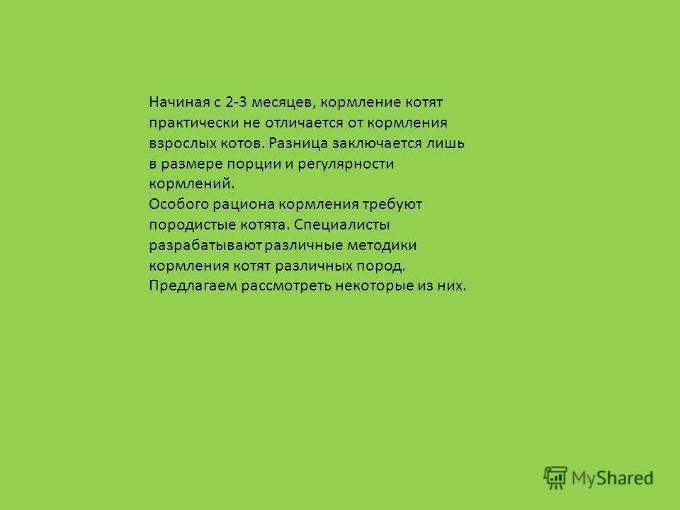 Что можно давать котятам в месяц. Кормить 1 месячного котенка. Рацион 1 5 месячного котенка. Чем кормить котёнка в 2 месяца в домашних условиях. Чем кормить 1.5 месячного котёнка в домашних условиях.