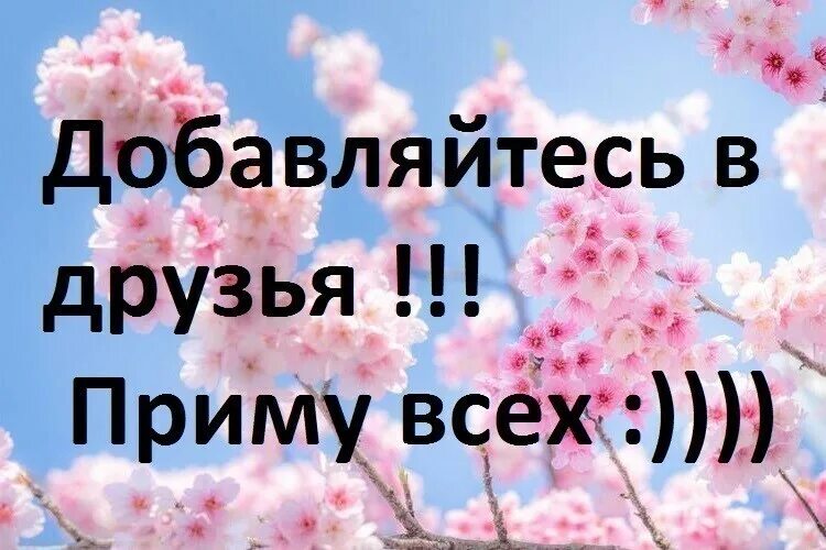 Bahh tee & hammali & navai. Я в дурдомикп. А я не приму. Песня не приму и даром. Bahh tee & hammali & navai.