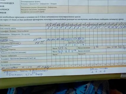 Перенос в криопротоколе в естественном цикле