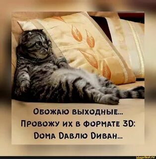 Как отдыхать вечером после работы