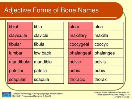 Form adjectives using