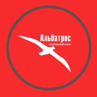 Альбатрос электросталь экскурсии