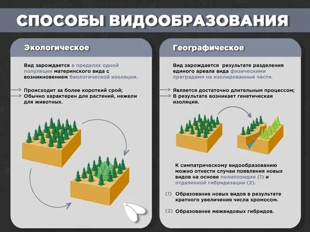 Этапы географической изоляции. Географическое и экологическиевидообразование. Экологический путь видообразования. Способы видообразования. Экологический способ видообразования.