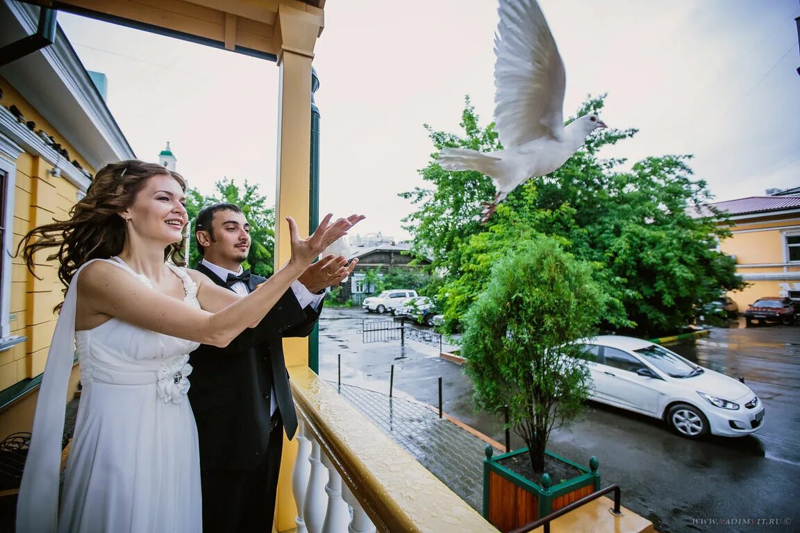 дворец бракосочетания красноярск. загс на металлургов красноярск. загс железнодорожного района красноярск. загсы красноярска адреса. мира 24 г красноярск загс.