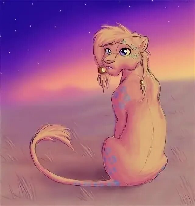 Дикая царица ты моя царица. Львица царица. львица ты моя царица. дикая львица ты моя. королев львицы.