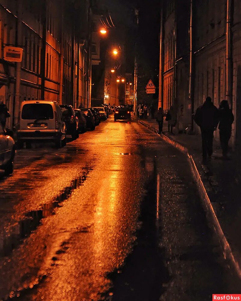 осенняя ночь. ночной бийск. зажглись фонари. вечерний парк. фонари ночью.