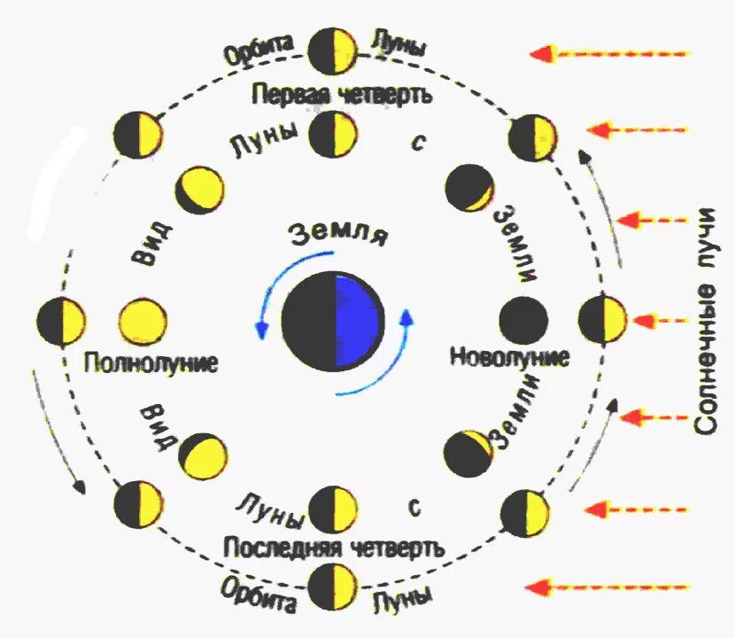 Движение Луны схема. Схема движения земли и Луны вокруг солнца. Фазы Луны относительно солнца схема. Положение Луны относительно земли и солнца в разные фазы цикла. Карта солнца и луны