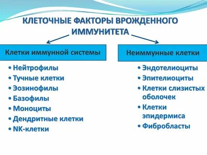 Клеточные факторы