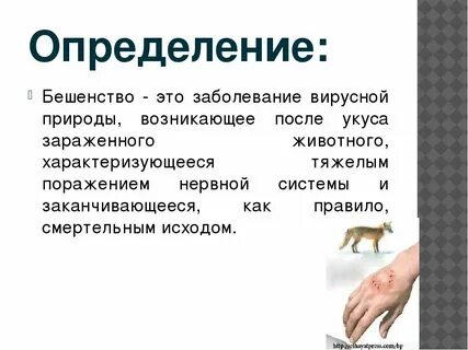 Болезнь после укуса собаки